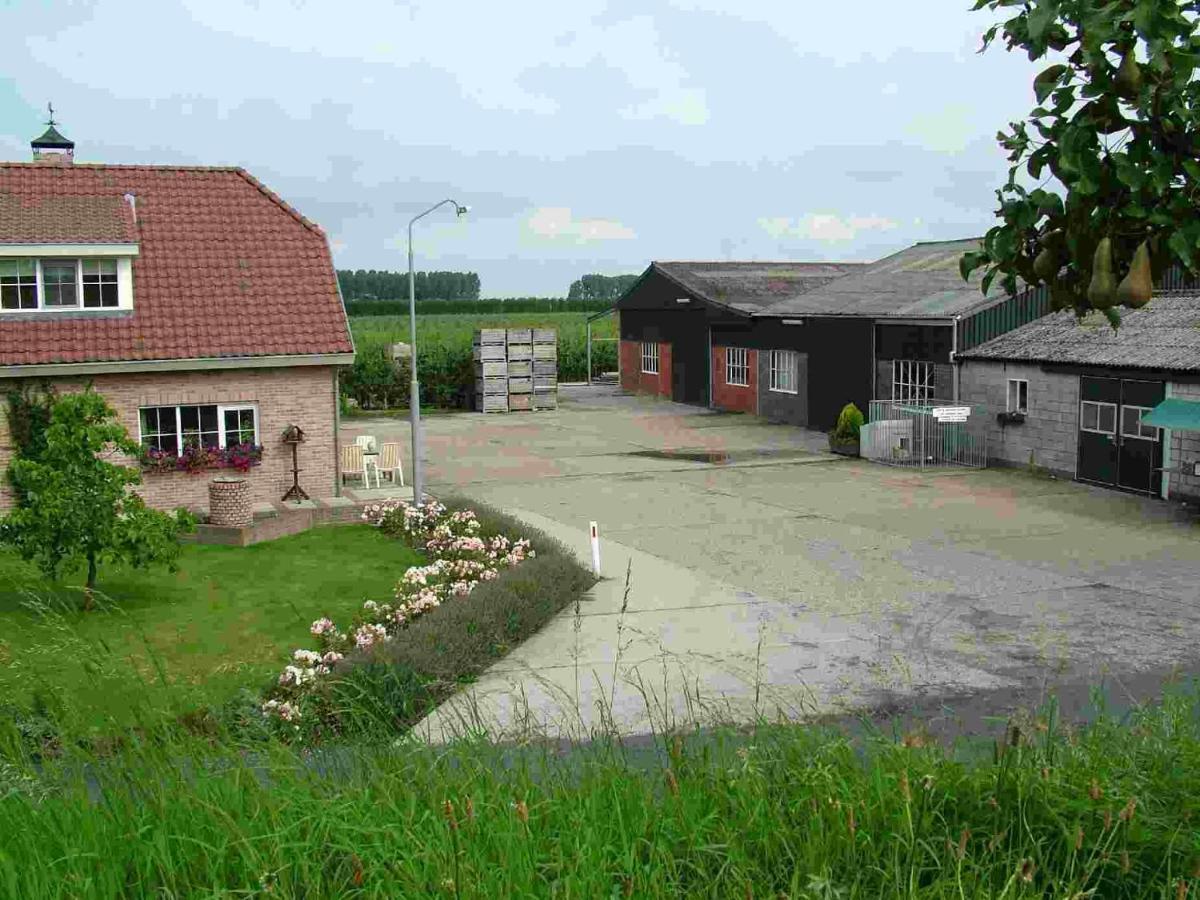 Chalet Elstar Hengstdijk 外观 照片